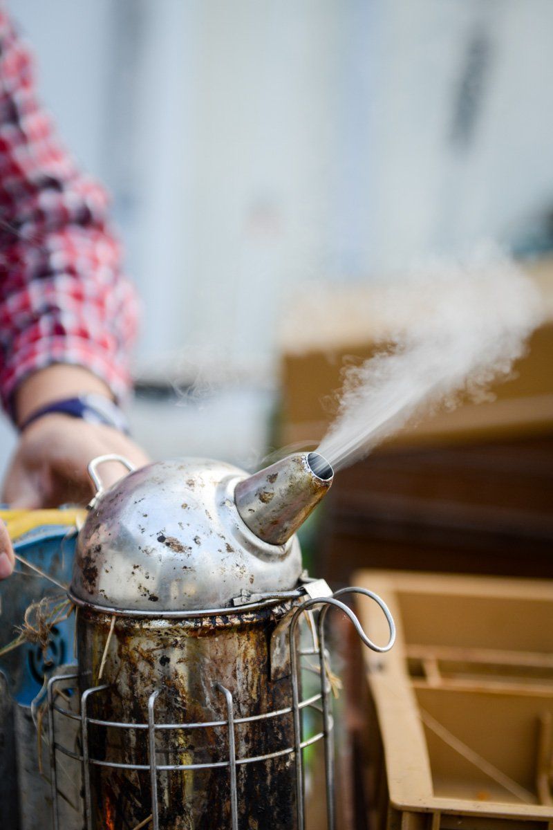 La fumée calme les abeilles